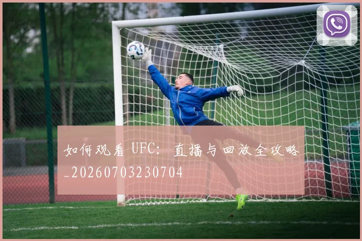 如何观看 UFC：直播与回放全攻略_20260703230704